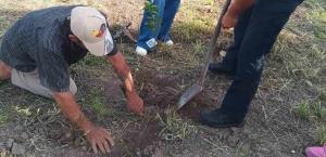 Inician reforestación en Nuevo Amanecer
