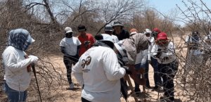 En el segundo día de rastrillo, Madres Buscadoras hallan dos cuerpos
