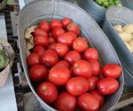 Descartan un impacto por arancel al tomate
