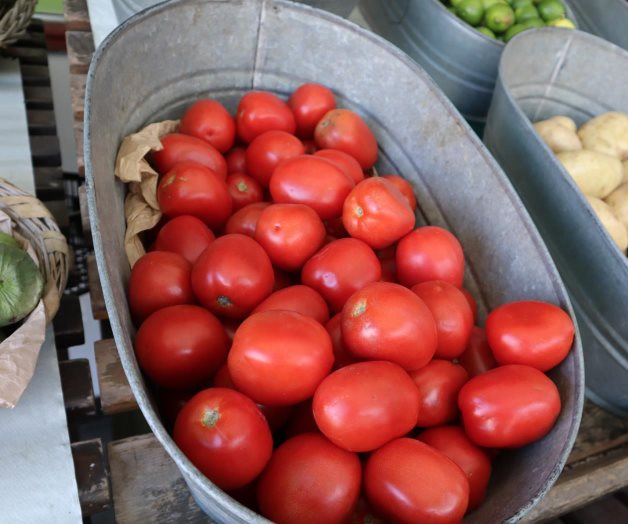 Descartan un impacto por arancel al tomate Descartan un impacto por arancel al tomate