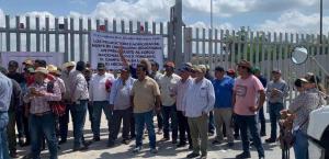 Pautan una tregua los productores de sorgo