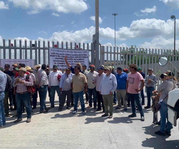 Pautan una tregua los productores de sorgo Pautan una tregua los productores de sorgo