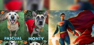 Warner Bros lanza colaboración para promover adopción de mascotas