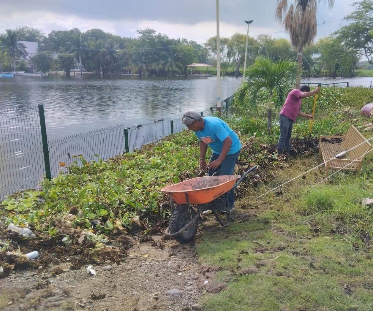 Limpian áreas afectadas por las inundaciones