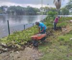 Limpian áreas afectadas por las inundaciones