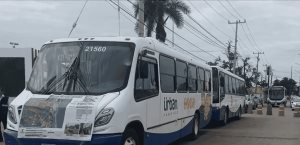 Poca respuesta a transporte gratuito