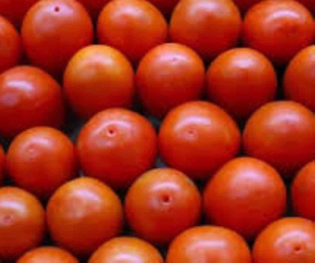 Aplicará EU arancel de 17% a jitomate mexicano Aplicará EU arancel de 17% a jitomate mexicano