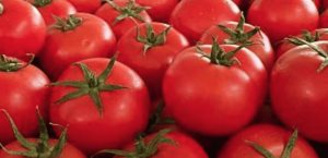 EU decidirá si aplica cuota del 17% al jitomate mexicano