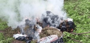 Ubican centros con químicos para droga en Culiacán y Cosalá