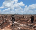 Reportan 200 casos de daño ambiental en Yucatán