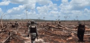 Reportan 200 casos de daño ambiental en Yucatán