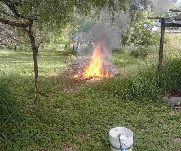 Con humo ahuyentan zancudos Con humo ahuyentan zancudos