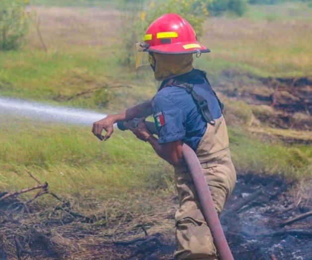 Alarma fuego en el &Aacute;lamo