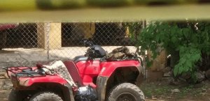 Periodistas quedan atrapados en fuego cruzado en Culiacán