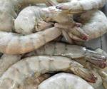 Vigilará Coepris la venta de mariscos