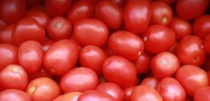 Buscan nuevos mercados ante arancel al tomate