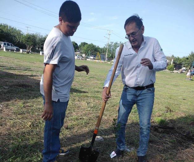 Dona colectivo ambientalista  árboles