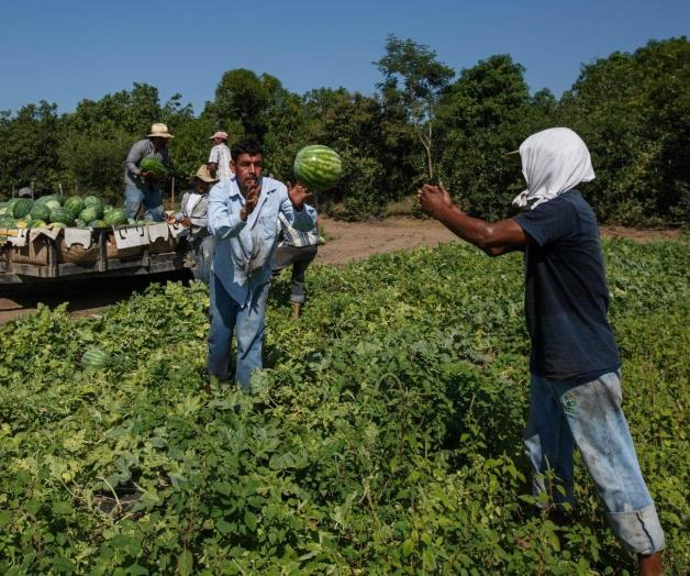 Borrar&iacute;an deportaciones 5.9 millones de empleos