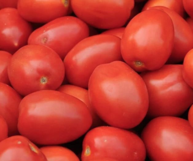 Presionan tomateros de Florida para poner arancel