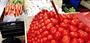 Productores de jitomate exportarán a pesar del arancel impuesto por Estados Unidos