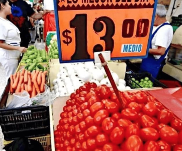 Productores de jitomate exportar&aacute;n a pesar del arancel impuesto por Estados Unidos