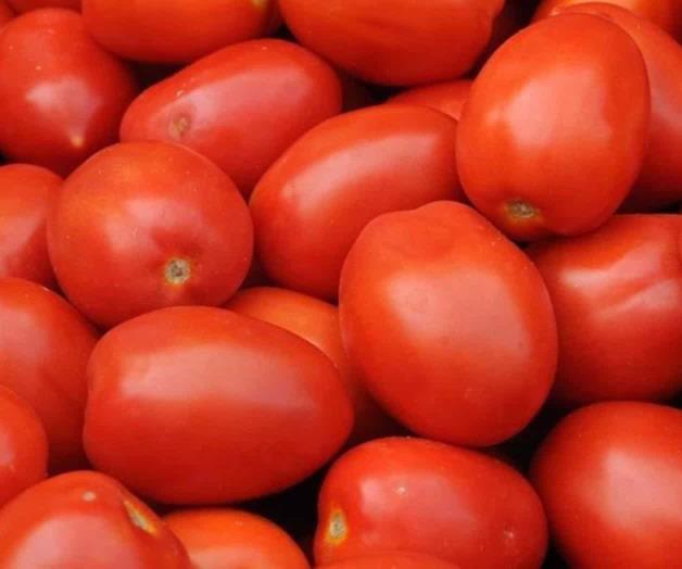 Tomateros de Florida presionan por arancel en comercio