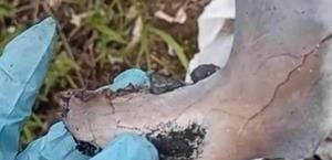 Guerreros Buscadores encuentran restos calcinados en Ahualulco