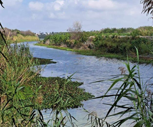 Sin afectaciones por la creciente del río Bravo Sin afectaciones por la creciente del río Bravo