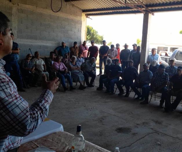 Mantendrán defensa de sus cosechas los productores de sorgo Mantendrán defensa de sus cosechas los productores de sorgo