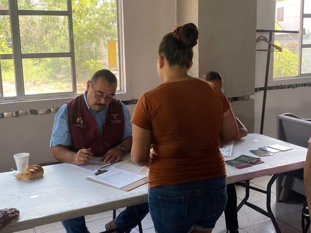 Combate sector Salud una plaga de ara&ntilde;as