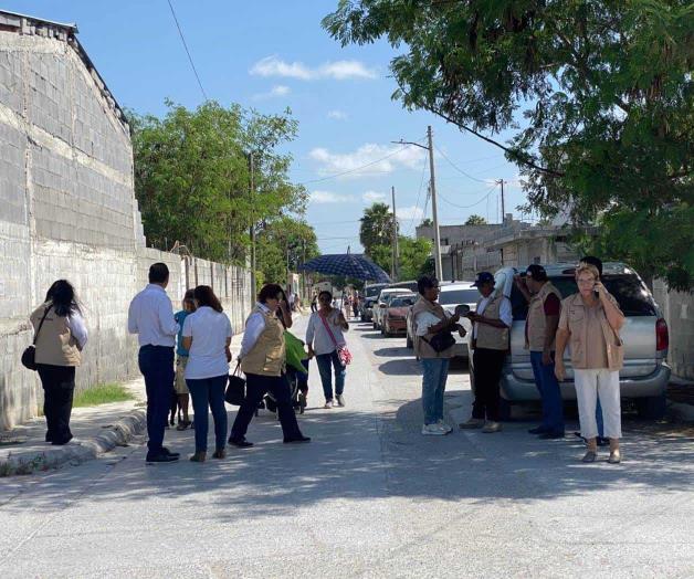Combate sector Salud una plaga de ara&ntilde;as