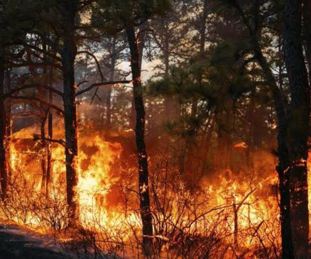 Aumentan da&ntilde;os por incendios forestales