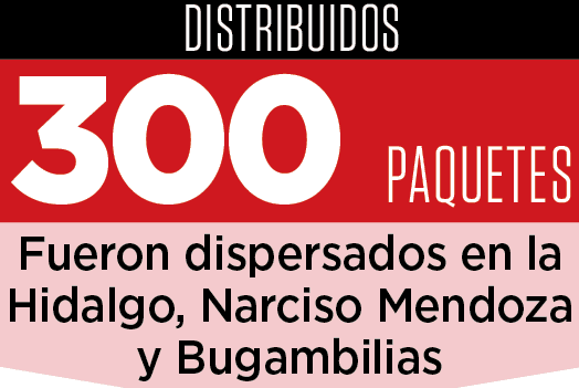 Reparte Bienestar apoyos alimentarios Reparte Bienestar apoyos alimentarios