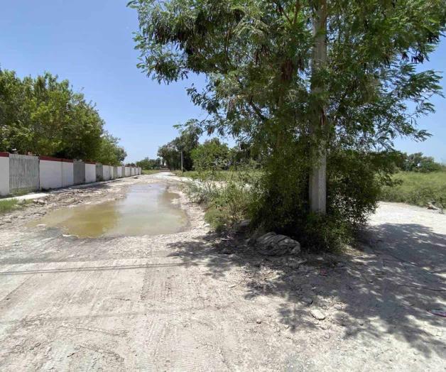 Olvidan mantenimiento Olvidan mantenimiento