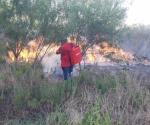 Surgen incendios en pastizales