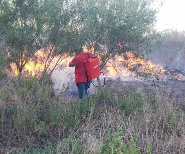 Surgen incendios en pastizales Surgen incendios en pastizales