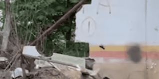 #Reynosa | Por años un #predio ubicado en la esquina de la calle Vicente Guerrero y Luis Echeverría, de la #colonia #Centro en esta #ciudad ha permanecido en total abandono,  hecho que ha contribuido a que personas ajenas lo conviertan en un tiradero de #basura #clandestino; sin embargo, según vecinos de los alrededores, ésta no es la principal problemática, ya que basta con observar el espacio a detalle para dimensionar el verdadero problema.