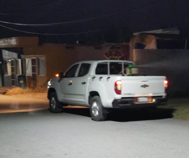 Refuerzan la fumigación