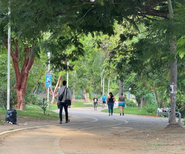 Demanda acciones ante agresión a mujer en parque de Vallarta Demanda acciones ante agresión a mujer en parque de Vallarta