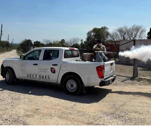Repunta el dengue en Tamaulipas Repunta el dengue en Tamaulipas
