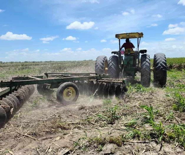 Capacitan a productores para generar fertilizantes