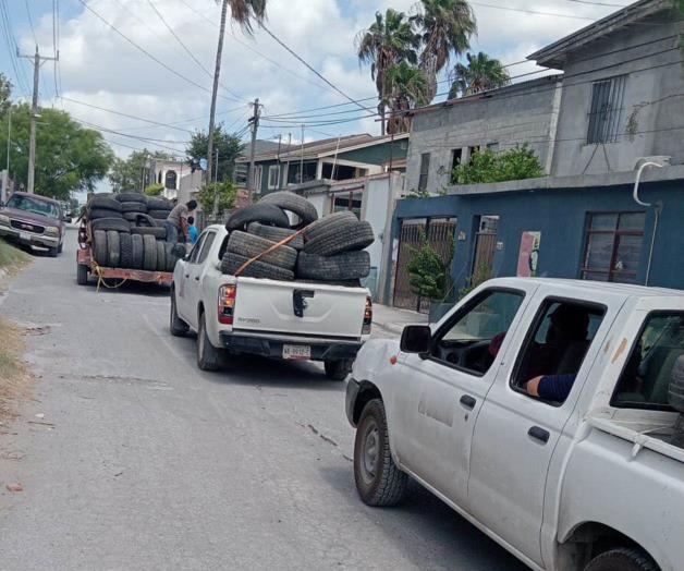 Previenen plagas contra el dengue