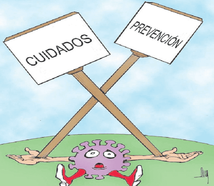El virus del dengue