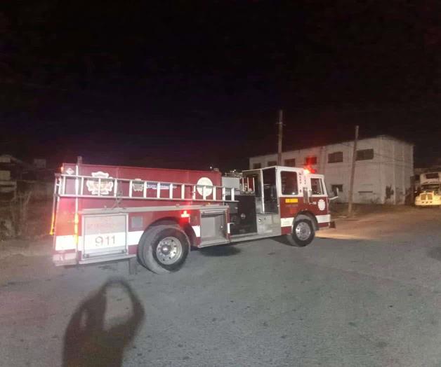 Atacan abejas a trabajadores Atacan abejas a trabajadores