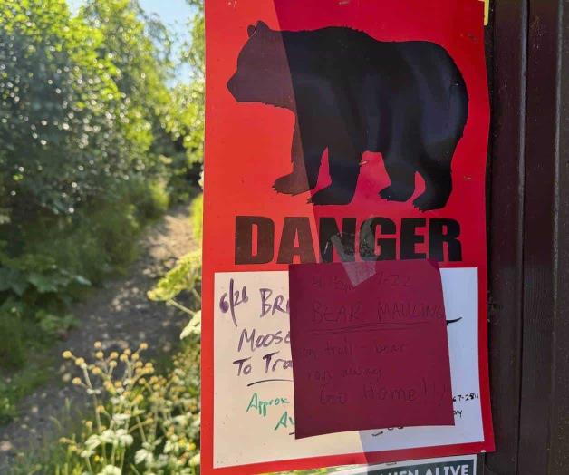 Buscan a un oso que atac&oacute; a excursionista