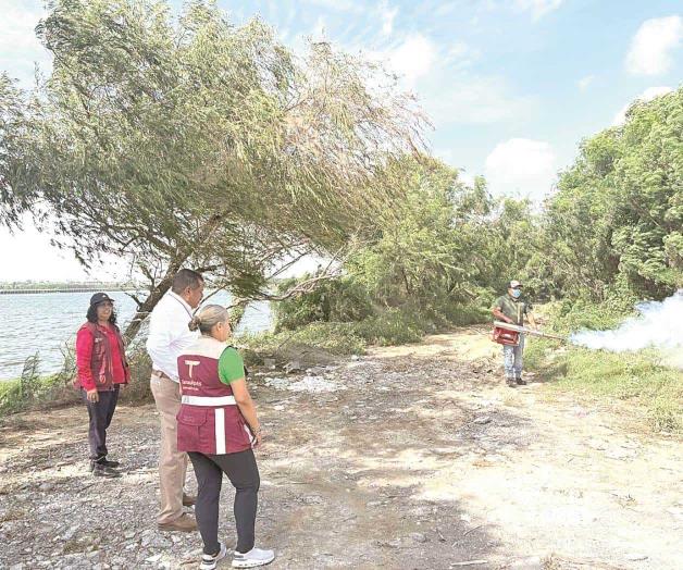 Solicitan a la población mantener los patios limpios Solicitan a la población mantener los patios limpios
