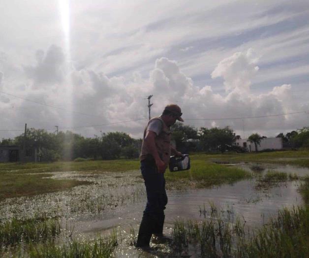 Combaten al dengue Combaten al dengue