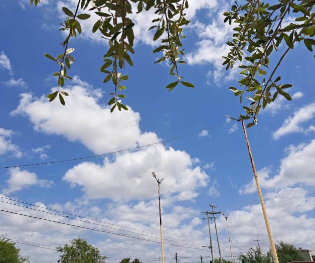 Alerta sector Salud por altas temperaturas