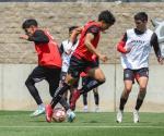 Salen Zorros a sorprender
