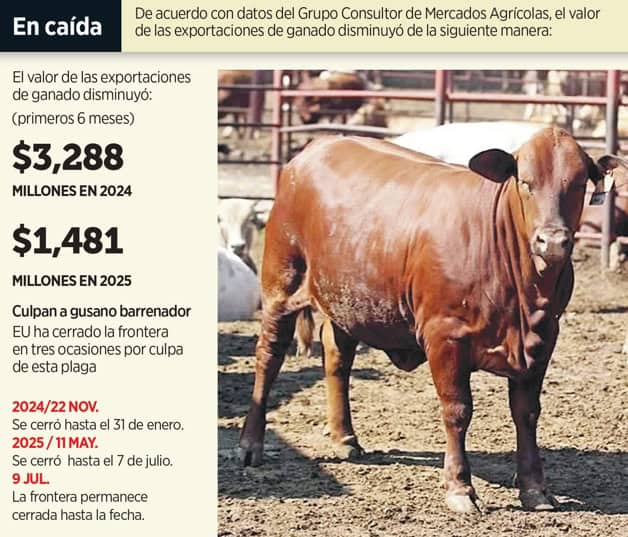 Gráfico déficit pecuario México